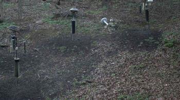 Weather camera view of Cincinnati Nature Center.