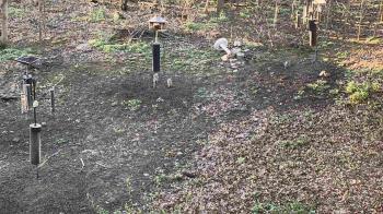 Weather camera view of Cincinnati Nature Center.