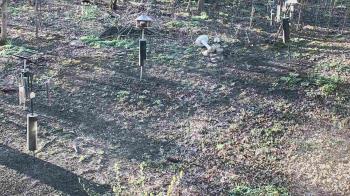 Weather camera view of Cincinnati Nature Center.