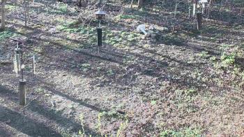 Weather camera view of Cincinnati Nature Center.