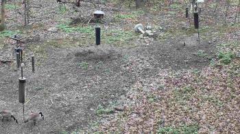 Weather camera view of Cincinnati Nature Center.