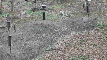 Weather camera view of Cincinnati Nature Center.