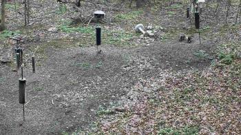 Weather camera view of Cincinnati Nature Center.