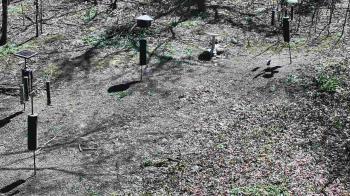 Weather camera view of Cincinnati Nature Center.