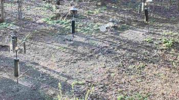 Weather camera view of Cincinnati Nature Center.