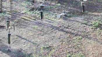 Weather camera view of Cincinnati Nature Center.