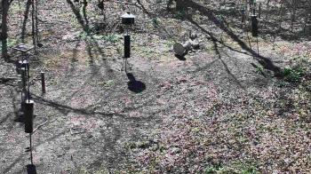 Weather camera view of Cincinnati Nature Center.