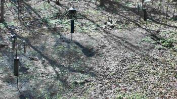 Weather camera view of Cincinnati Nature Center.