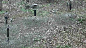 Weather camera view of Cincinnati Nature Center.