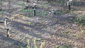 Weather camera view of Cincinnati Nature Center.