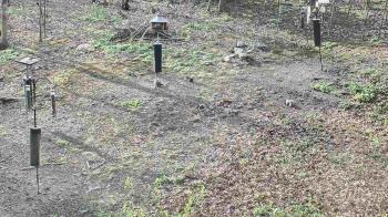 Weather camera view of Cincinnati Nature Center.