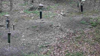 Weather camera view of Cincinnati Nature Center.