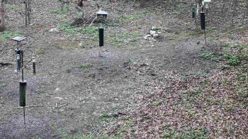 Weather camera view of Cincinnati Nature Center.