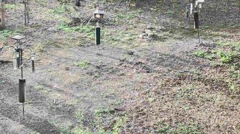 Weather camera view of Cincinnati Nature Center.