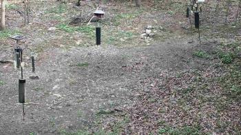 Weather camera view of Cincinnati Nature Center.