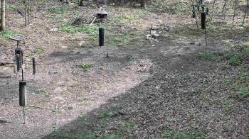 Weather camera view of Cincinnati Nature Center.