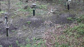 Weather camera view of Cincinnati Nature Center.