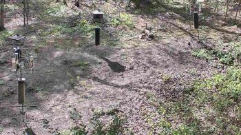 Weather camera view of Cincinnati Nature Center.