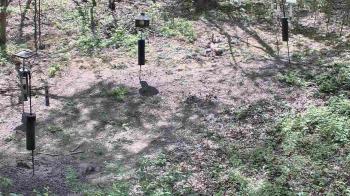 Weather camera view of Cincinnati Nature Center.