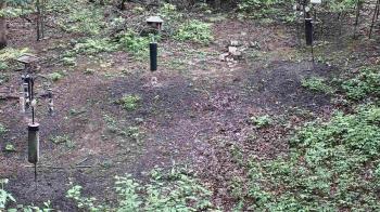 Weather camera view of Cincinnati Nature Center.