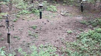 Weather camera view of Cincinnati Nature Center.