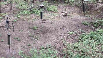 Weather camera view of Cincinnati Nature Center.