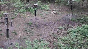 Weather camera view of Cincinnati Nature Center.