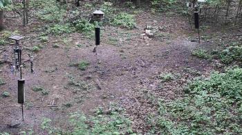 Weather camera view of Cincinnati Nature Center.