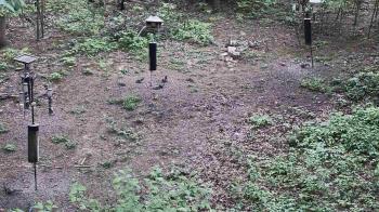 Weather camera view of Cincinnati Nature Center.