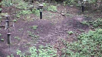 Weather camera view of Cincinnati Nature Center.