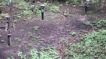 Weather camera view of Cincinnati Nature Center.