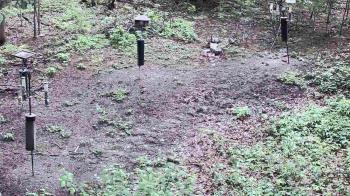 Weather camera view of Cincinnati Nature Center.