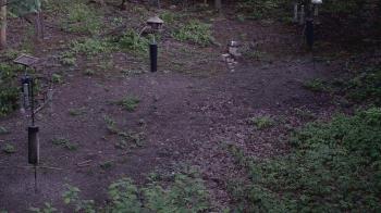 Weather camera view of Cincinnati Nature Center.