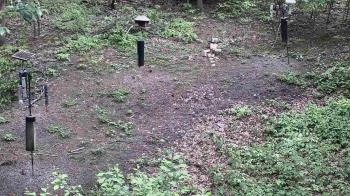 Weather camera view of Cincinnati Nature Center.