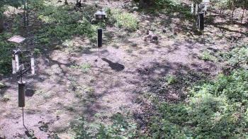 Weather camera view of Cincinnati Nature Center.