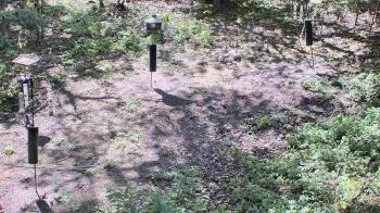 Weather camera view of Cincinnati Nature Center.