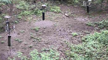 Weather camera view of Cincinnati Nature Center.