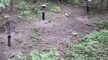 Weather camera view of Cincinnati Nature Center.