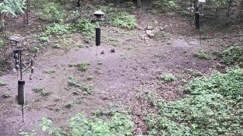 Weather camera view of Cincinnati Nature Center.