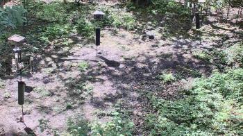 Weather camera view of Cincinnati Nature Center.