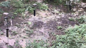 Weather camera view of Cincinnati Nature Center.