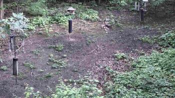 Weather camera view of Cincinnati Nature Center.
