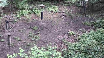 Weather camera view of Cincinnati Nature Center.