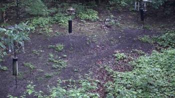 Weather camera view of Cincinnati Nature Center.