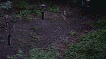 Weather camera view of Cincinnati Nature Center.