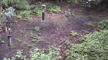 Weather camera view of Cincinnati Nature Center.
