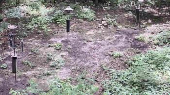 Weather camera view of Cincinnati Nature Center.