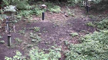 Weather camera view of Cincinnati Nature Center.