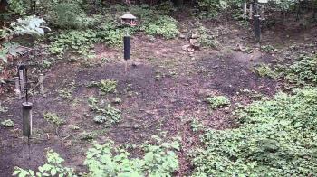 Weather camera view of Cincinnati Nature Center.