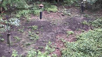 Weather camera view of Cincinnati Nature Center.